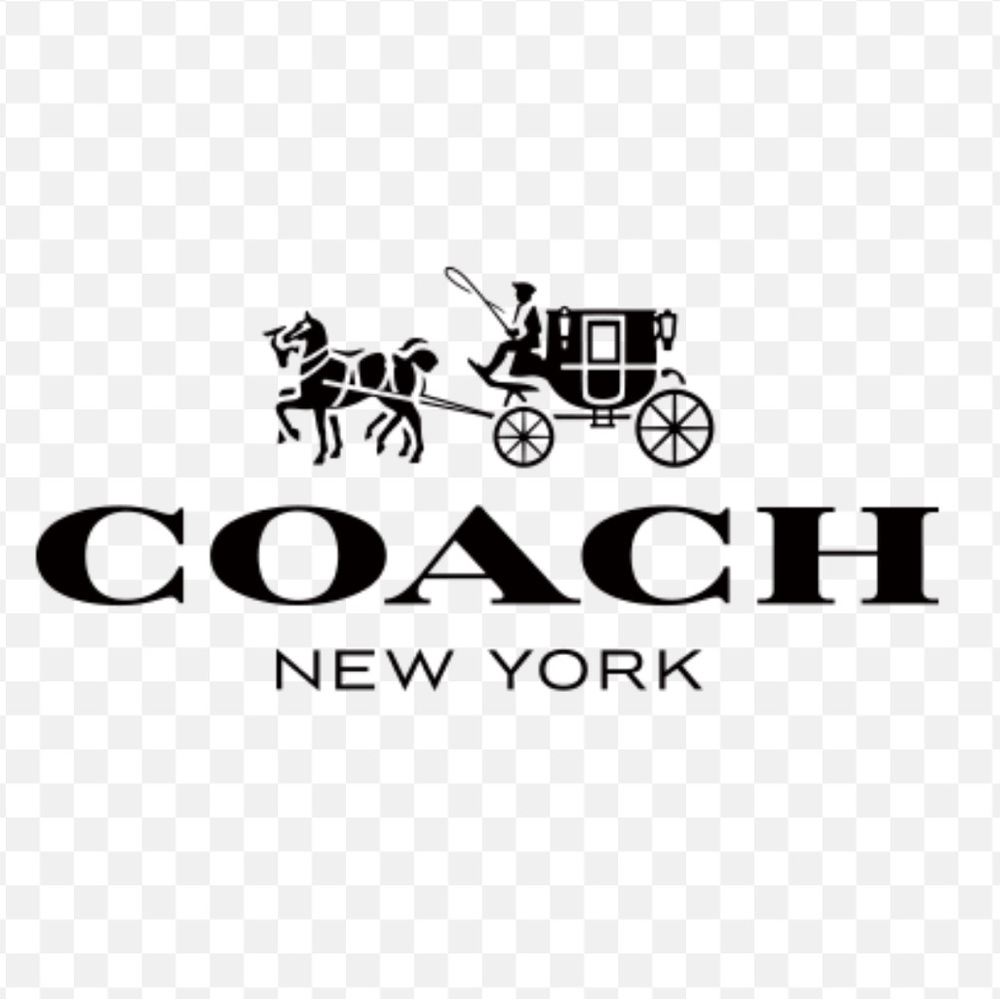 🌺 COACH WALLET WRISTLET MINI BAG